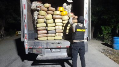 Photo of DNCD y Cesfront ocupan 386 libras de marihuana en Elías Piña